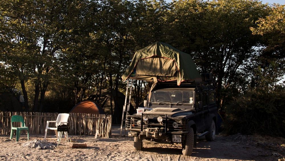 The dry season reveals a stark, serene landscape ideal for safaris.