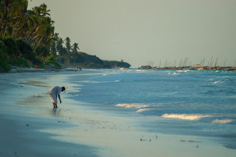 Visit Tanzania with our Africa travel guide