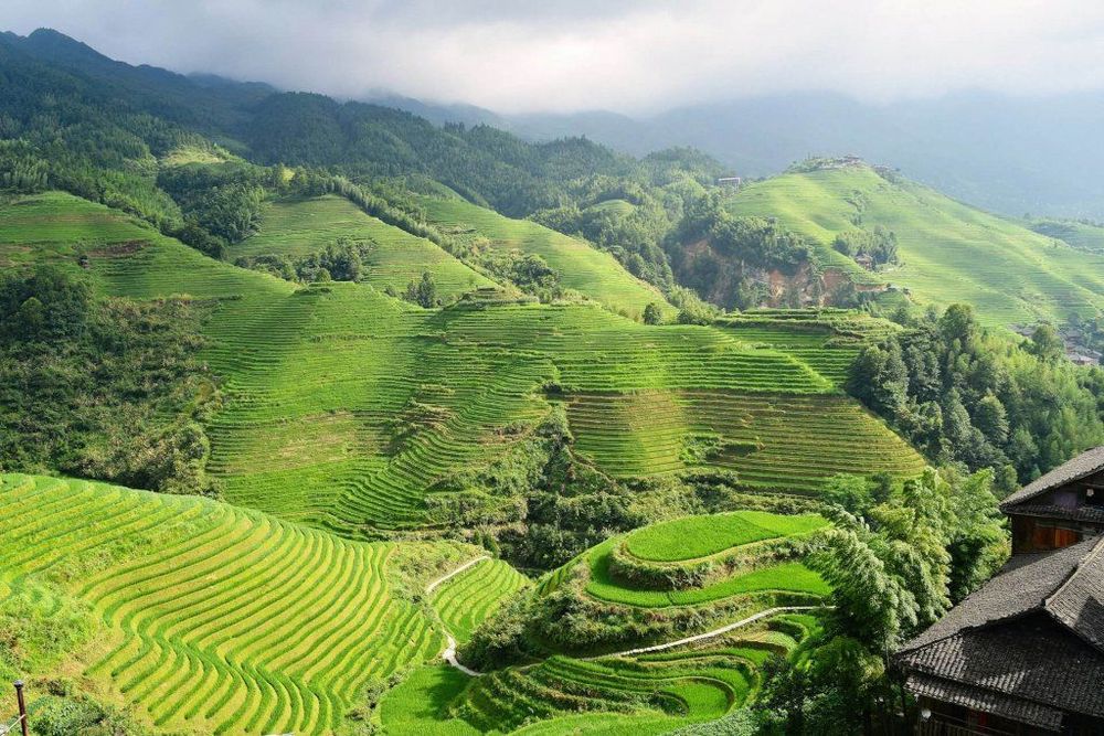 China is full of history and beauty in every corner of the country.