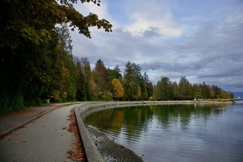 Take the best pictures of Vancouver's skyline while biking or walking through Stanley Park