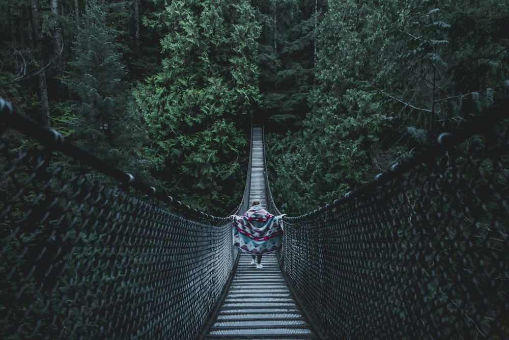 If you want to leave Vancouver with the best photos you can't miss the Lynn Canyon photo tour