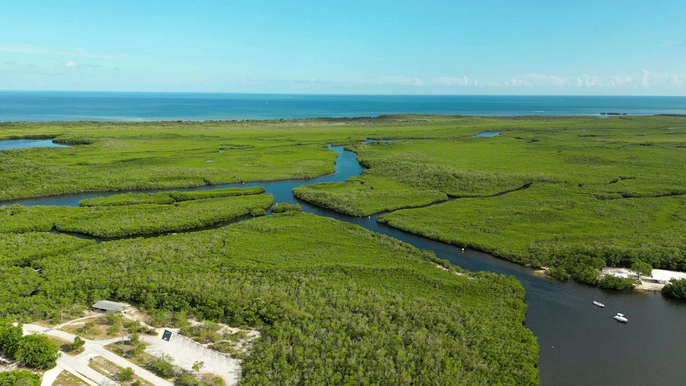 Florida Has the Most Diverse Ecosystem