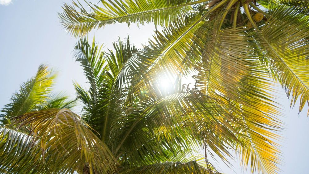 Florida is also referred to as 