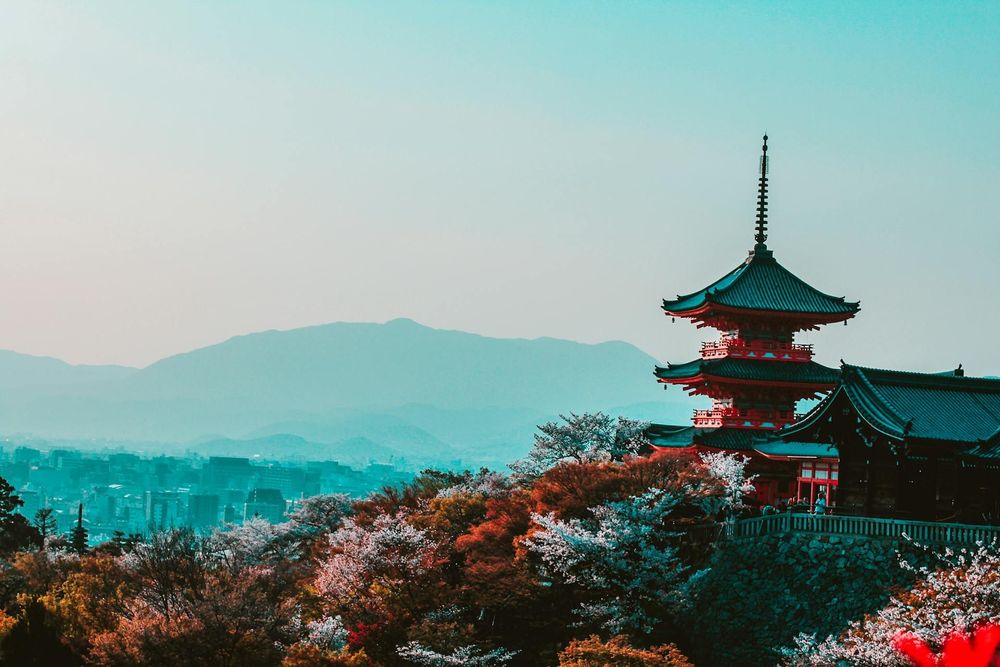Kiyomizu-dera Temple: This historic temple offers iconic views of cherry blossoms with the temple as a backdrop.