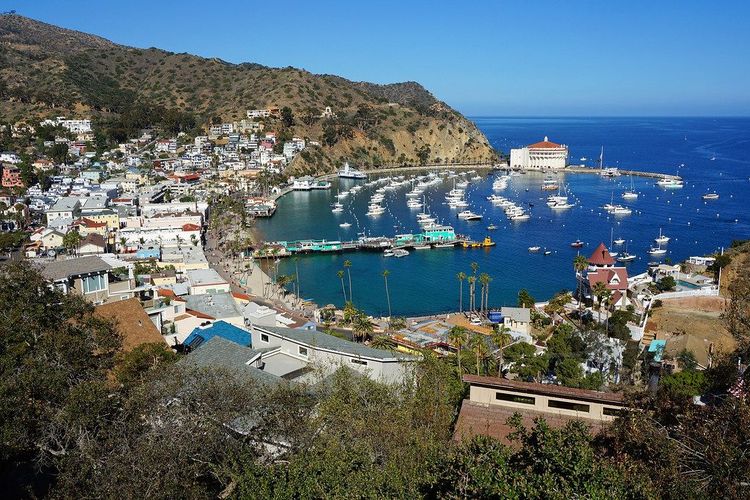 Santa Catalina Island, USA