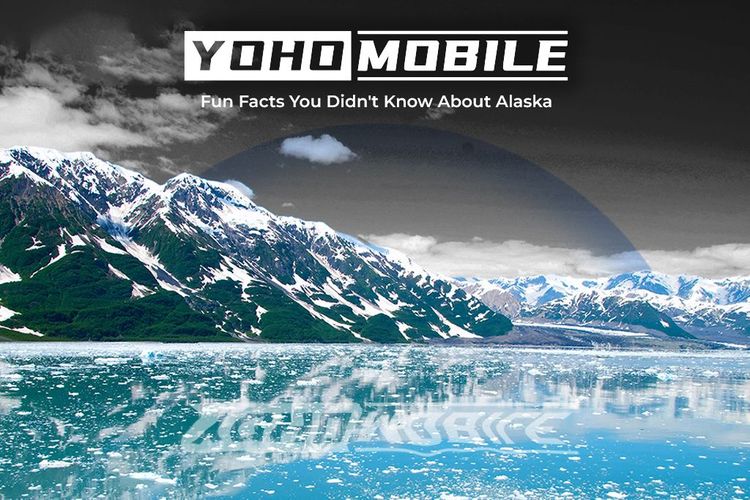 Stick around to discover the most interesting and fun facts about Alaska, the "White Continent."