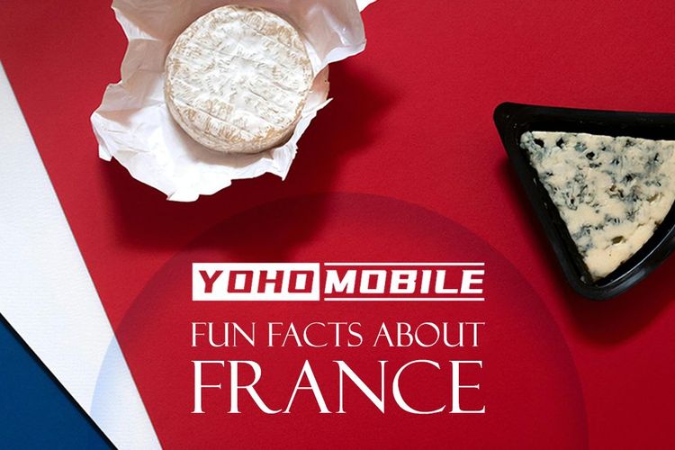 Top 15 Fun Facts About France