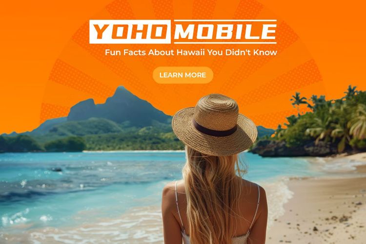 Hawaii is full of fun facts, from its weird animal life to odd historical tidbits, and plenty of facts most people don’t know.