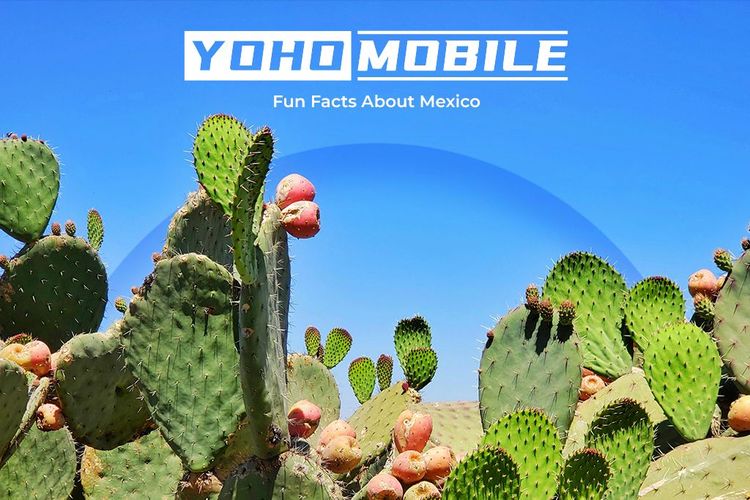 Let’s dive into some interesting and fun facts about Mexico you might not know.