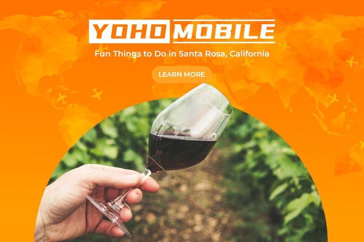 Fun Things to Do in Santa Rosa, California