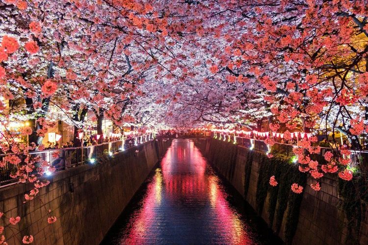 Japan Golden Week