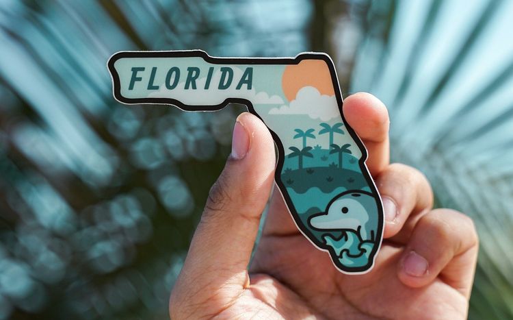 There’s so much to discover—some odd, some interesting, all downright fun facts about Florida.