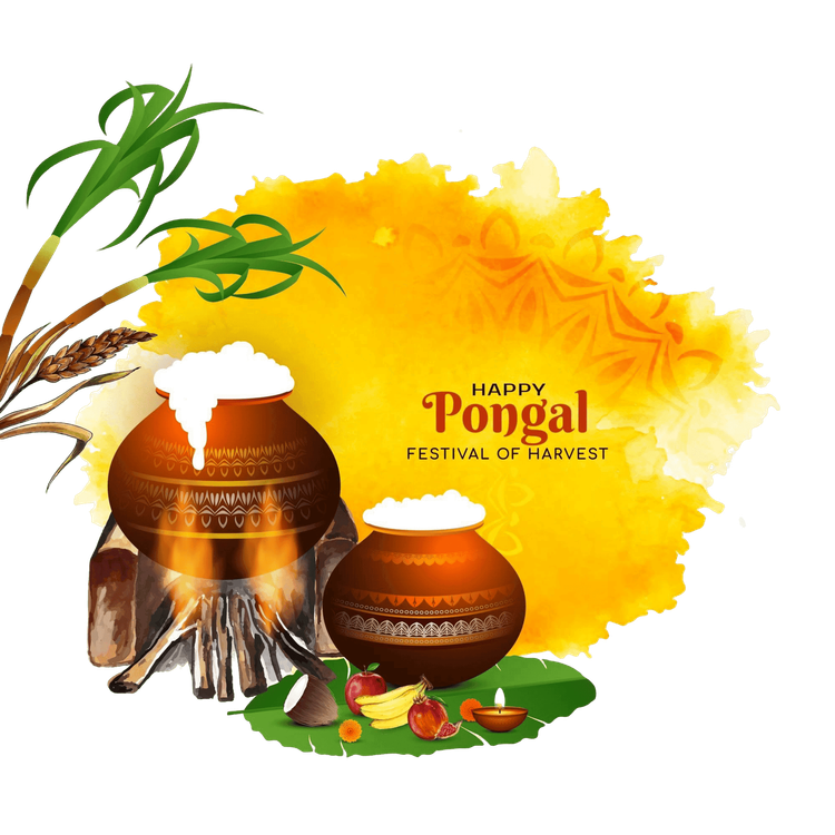 Have you ever heard of Tamil Nadu’s Pongal Festival?  Sure, it’s a harvest festival like many others