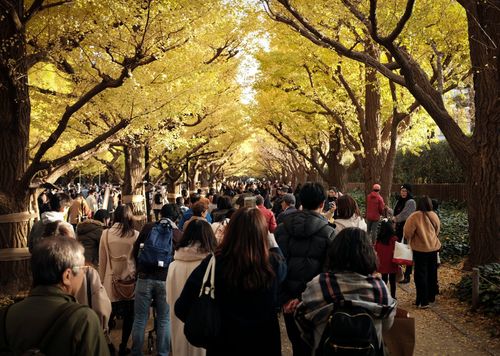 Golden Week is Japan's biggest holiday season, when people take a break from their hard-working lives to travel, enjoy festivals, or simply relax.