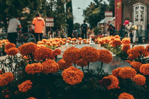 Spaniards visit cemeteries to clean, tend, and decorate graves with fresh flowers.