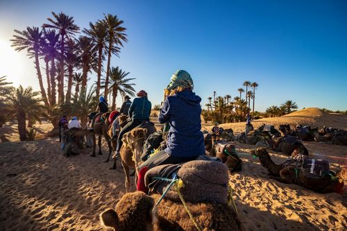 For centuries, camel rides have been part of the culture of North Africa, used as a means of trade and travel across the vast Sahara desert.