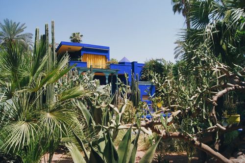 Walk Through Marrakech’s Jardin Majorelle