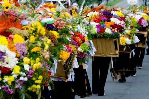 Colombia hosts every year the biggest flower festival in the world: Feria de las Flores in Medellín.