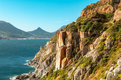 Whale Watching: You can check out whales from the Hermanus Cliff Path, especially from June to December. 