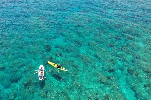 Aruba is considered a paradise for water sports lovers.