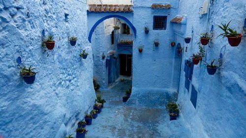 Chefchaouen is a beautiful city that you can visit with our Arabic travel guide