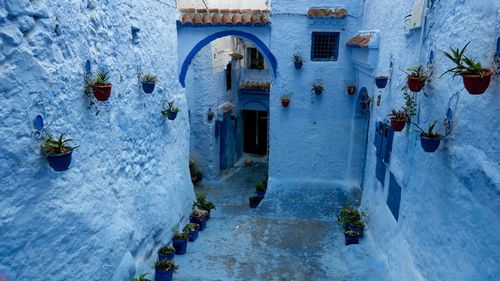 Chefchaouen is a beautiful city that you can visit with our Arabic travel guide