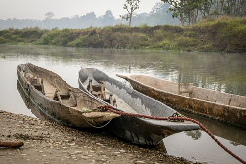 Chitwan national  park.jpg