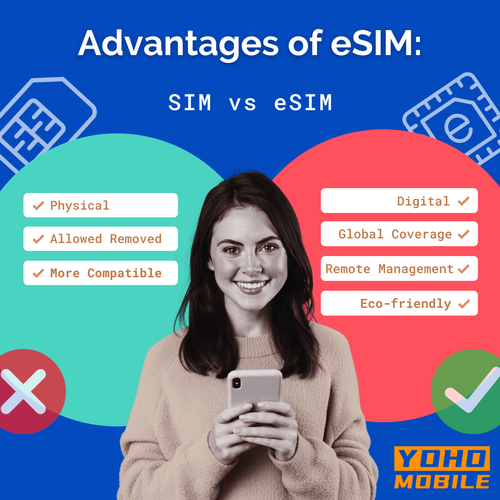 eSIM 技术在智能家居行业的扩展