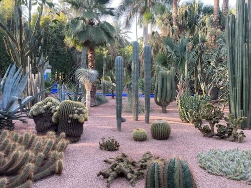 Marrakech garden