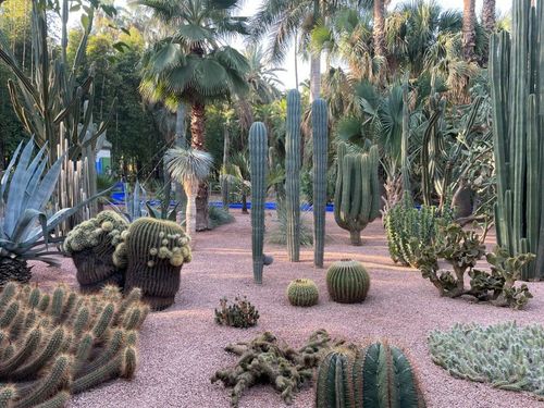 Visit Marrakech garden with our Arabic travel guide