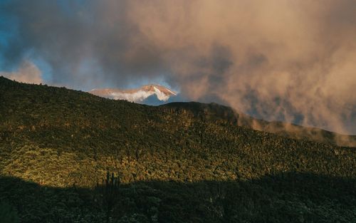 You can visit Mount Kilimanjaro with our Africa travel guide