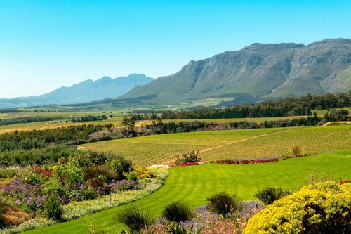 You can visit Stellenbosch, Renowned wine region with picturesque vineyards with our Africa travel guide