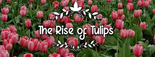 Holland has led the world in growing and selling flowers, especially tulips