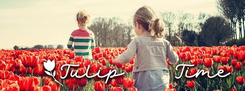 Holland Tulip Festival In Michigan is one of the state's most significant events