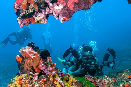 If you're passionate about marine life and exploring reefs, the Turks and Caicos Islands are the ideal paradise