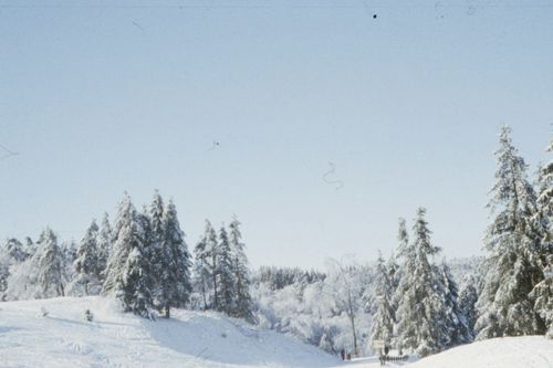 Fun Facts About Canada: In some northern areas, frozen rivers and lakes are used as temporary ice roads during the winter months.