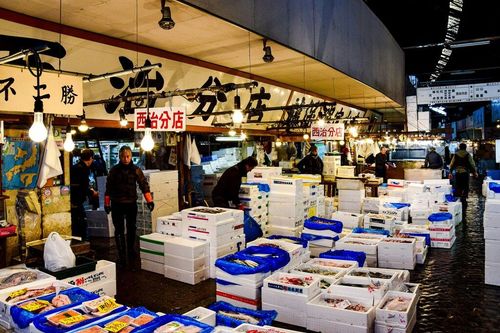 Savor Fresh Sushi at Tsukiji Fish Market.