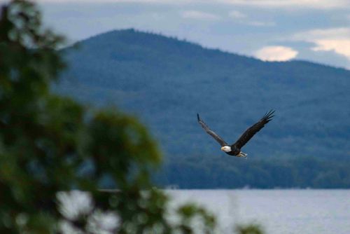 Things to do in Lake George