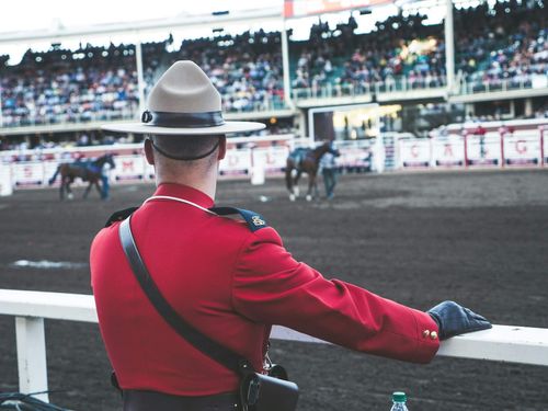 Top athletes and animals compete across six events: barrel racing, tie-down roping, steer wrestling, saddle bronc, bull riding, and bareback