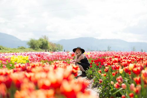 Holland Tulip Festival In Michigan is one of the state's most significant events.