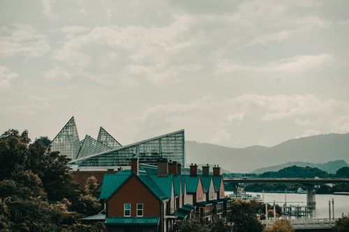 If you are traveling with children, it is ideal to visit the Tennessee Aquarium.