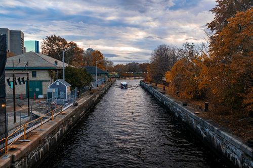 The best way to appreciate the beauty of autumn is to embark on a scenic cruise on the Charles River.