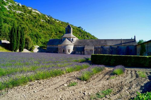 Experience the magic of Provence when lavender blankets the land from June to August.