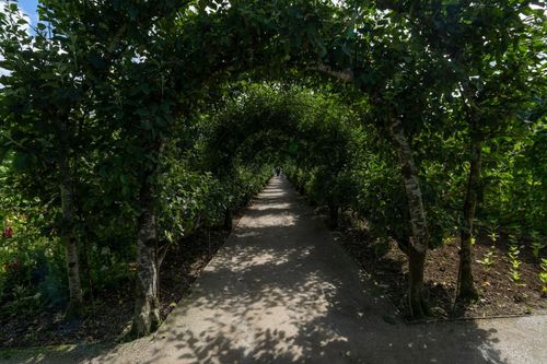 Lost Garden of Heligan in Cornwall