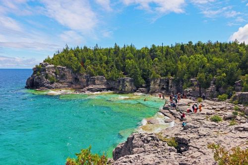 Bruce Peninsula in Canada is home to rare orchid species