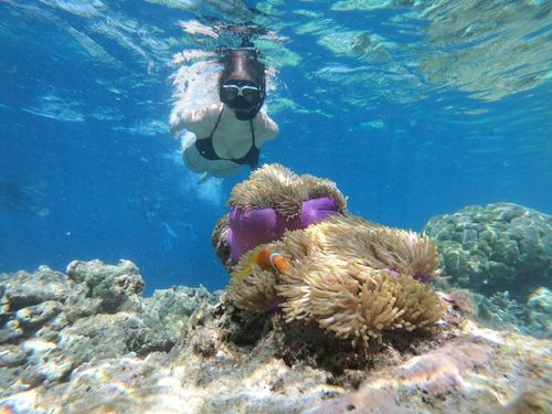 Most visitors to the Cook Islands stay in Rarotonga and Aitutaki. These islands are great for snorkeling in calm, shallow lagoons protected by reefs. 