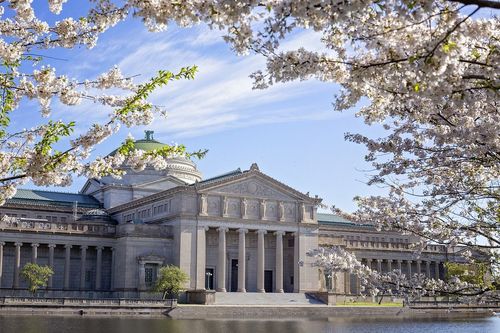咲き誇る桜に縁取られた科学産業博物館