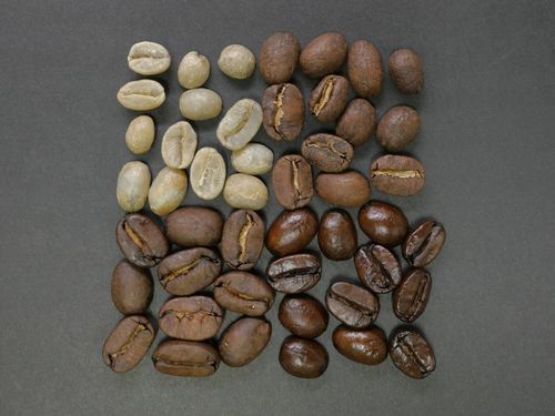 Bean quality directly shapes the final product.