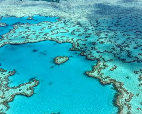 The Great Barrier Reef, extending more than 2,300 km, can be seen from space