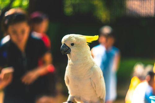 Explore the Oklahoma City Zoo